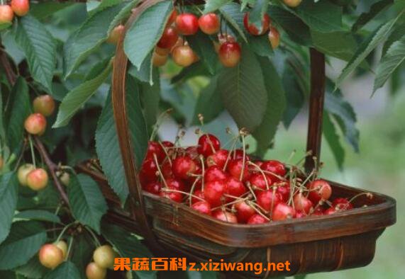 ӣ�ҵĹ�Ч�����ü�����