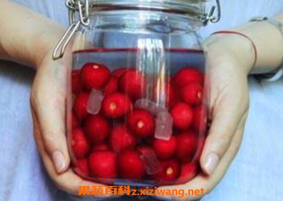  ӣ����ô�� ӣ�ҵ�ʳ�÷����̳�
