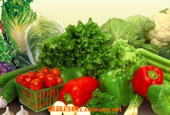 ��ά����e��ʳ������Щ ά����e��ʲô����