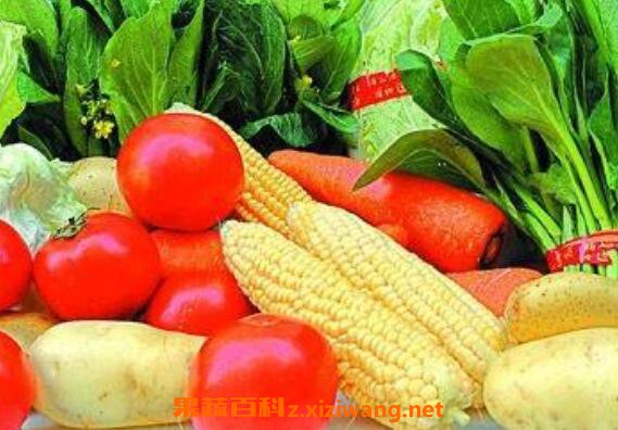 ��ά����e��ʳ������Щ ά����e��ʲô����