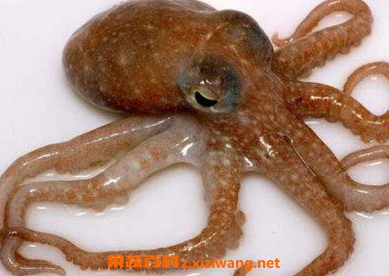 ���������������