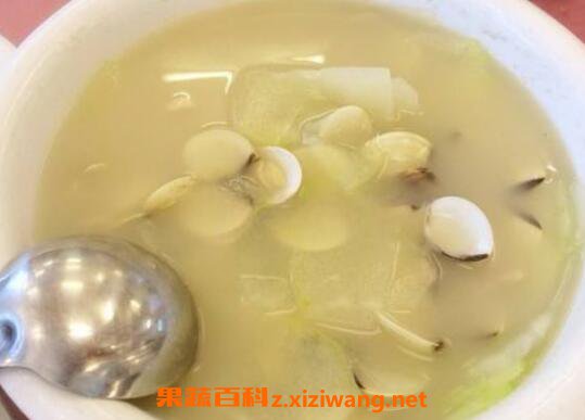 白贝冬瓜汤的功效与作用