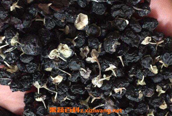 Ұ������轵Ĺ�Ч������ Ұ���������ô��