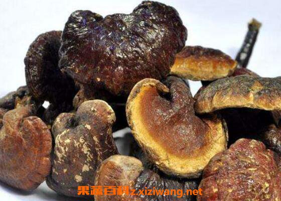 Ұ����֥�Ĺ�Ч������ Ұ����֥����Ǯһ��