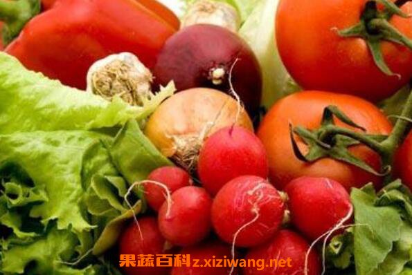 ��ά����b��ʳ������Щ ȱά����b��ʲôʳ���