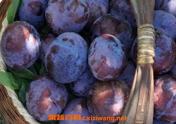 �ڲ��ֵĹ�Ч������ �Ժڲ��ֵĺô�