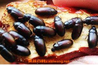 Ů�˳Ծ�����ĺô� �������Ů�˵Ĺ�Ч