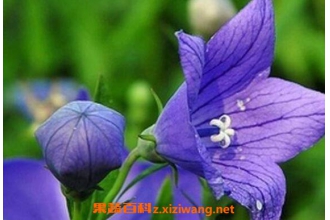 ��ҩ�۹���ô�� �۹�ҩ����ô����