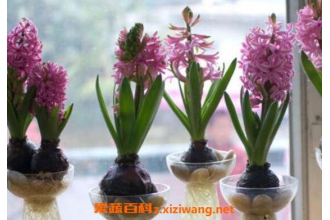 �����ӿ�������ô���� �����ӿ�������ô��ֳ