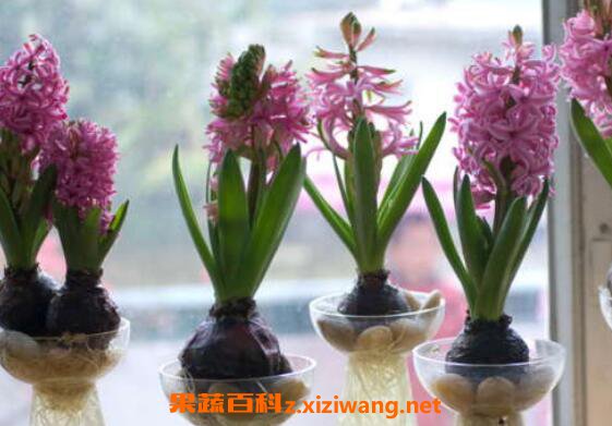 �����ӿ�������ô���� �����ӿ�������ô��ֳ