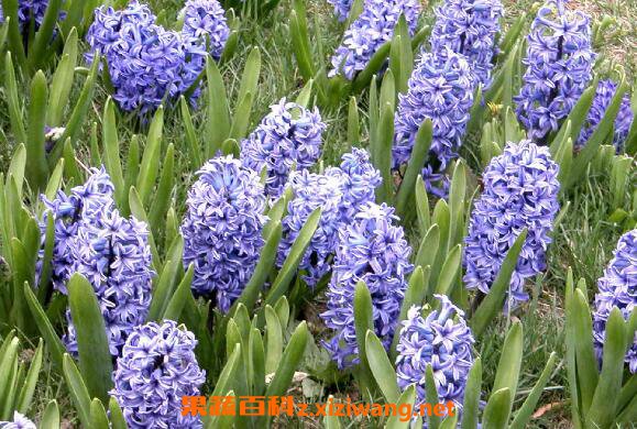 �����ӿ�������ô���� �����ӿ�������ô��ֳ