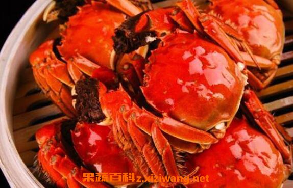 �з��ô���� �����з�ķ�������
