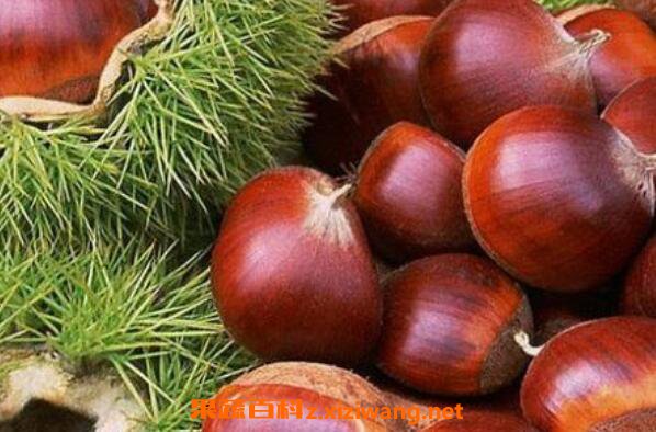 ������ô��ó� ������������װ�Ƥ