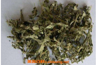 ��Ҷˮϴ����ʲô�ô� ��Ҷˮϴ���Ĺ�Ч������