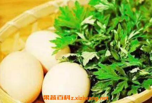 ��Ҷ�󼦵���ô�� ��Ҷ�󼦵���Ӫ����ֵ