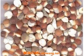 ��ʵ��ô���� ���ʵ���ʵ��ô��