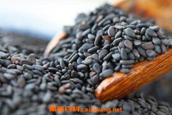 黑芝麻怎么吃最好 黑芝麻的简单吃法