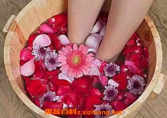 �ݽ���ʲô�ô� �ݽŵĺô��뻵��