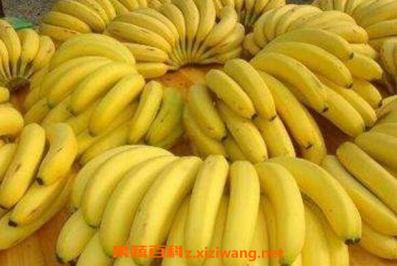 ���㽶��ʲô�ô� ���㽶�ĺô��뻵��