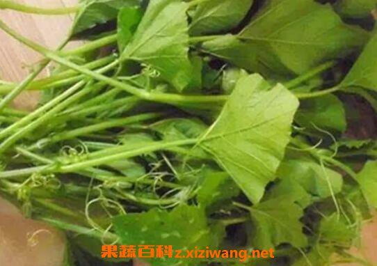 �Ϲ�Ҷ��ô���ó� �Ϲ�Ҷ�ӵĹ�Ч������