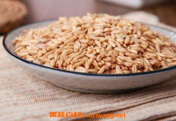 ��������ô�� �����׵�ʳ�÷����̳�