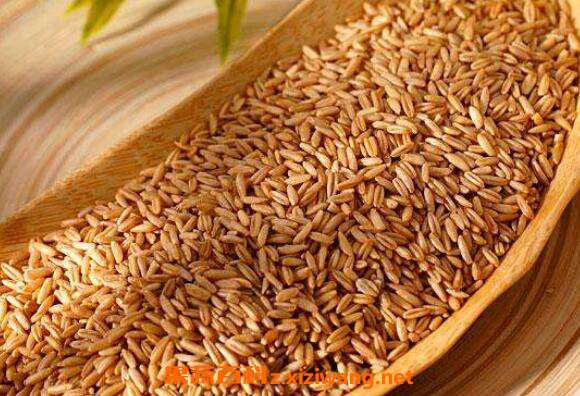 ��������ô�� �����׵�ʳ�÷����̳�