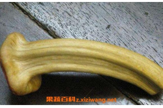 �ϹϵٵĹ�Ч������ �Ϲϵ�ʲô�˲�����