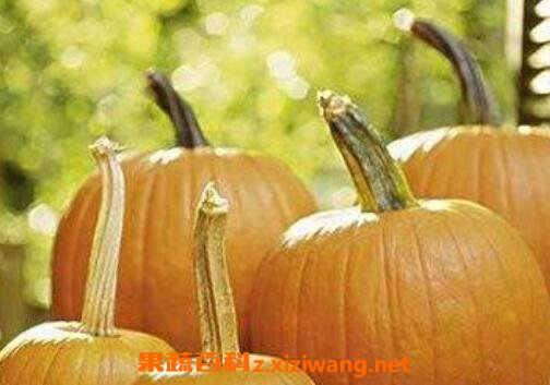 �ϹϵٵĹ�Ч������ �Ϲϵ�ʲô�˲�����