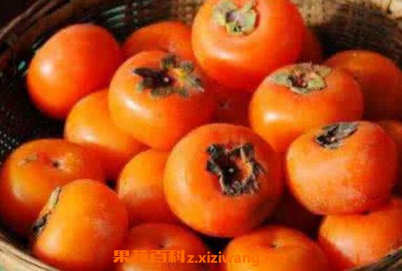 �и��ܳ������� �и������ӵĺô��ͻ���