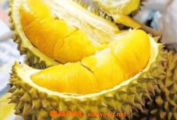 �и��ܳ������� �и��������ĺô��ͻ���