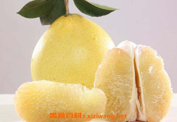 �и��ܳ������� �и������ӵĺô��ͻ���