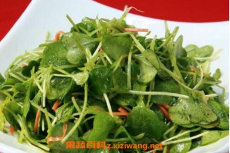 �ܲ�Ҷ����ô���ó� �ܲ�Ҷ�ӵļҳ���������