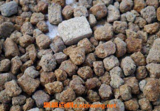 �������Ĺ�Ч�����ü�ʳ�÷���