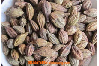 ڭ����Ĺ�Ч������ ��ڭ����ĺô�