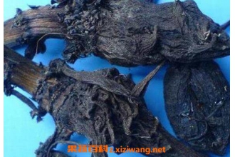 �Ʋ��ڵĹ�Ч������ �Ʋ��ڵ�ʳ�ý���