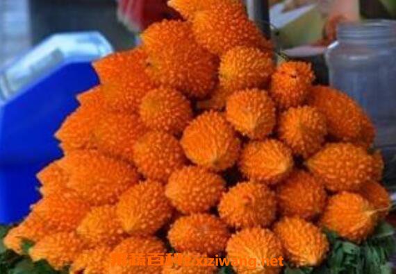 ���ϵ�Ӫ����ֵ ���ϵ�ҩ�ü�ֵ