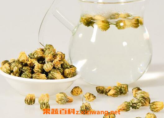 菊花能泡功...... <a href=
