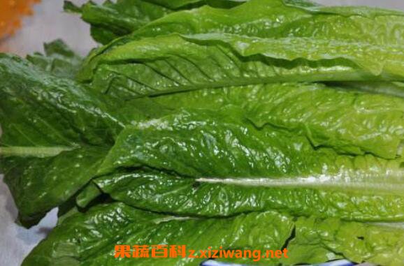 莴笋叶子能吃吗 莴笋不能和什么一起吃