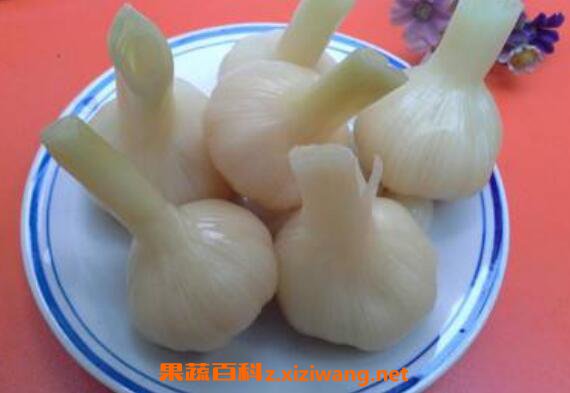 ��ͷ��ô���ƺó� ��ͷ�����Ʒ���