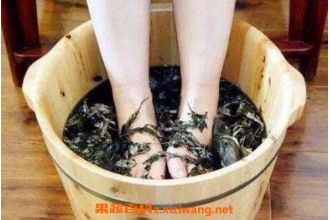 ��Ҷ�ݽŵĹ�Ч������ �����ݽŵĽ���