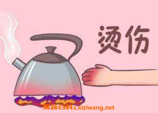 ���˺������ָ��ÿ� ���˰̺��������