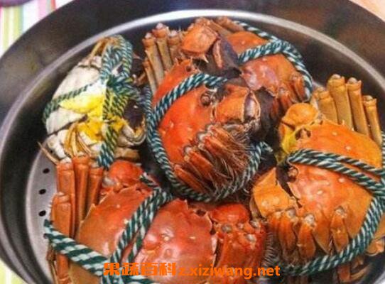 �з��ô���� �з���ʵķ�������