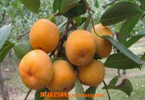������ô���� ���Ӵ��췽������ 
