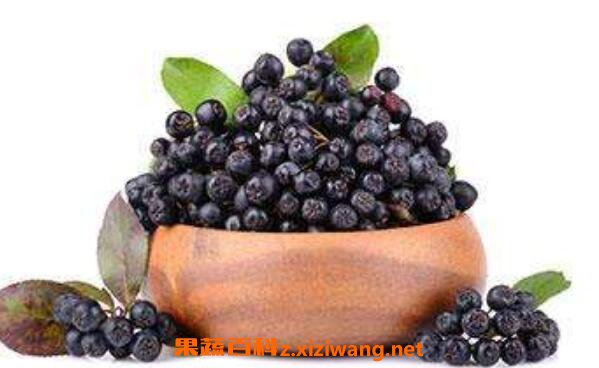 Ұӣݮ��ˮ�ȹ�Ч������