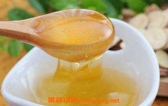 �ٻ��۵������빦Ч �ٻ��۵�ʳ�÷���