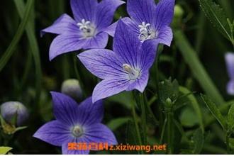 �۹������� �۹�����ô�� �۹�������ֳ����