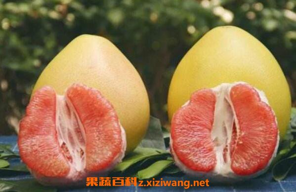 �����ֵ�Ӫ����ֵ ���������ϻ��ǽ���