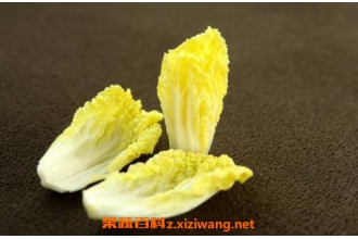 ���Ĳ���ô��ֲ ���Ĳ˵���ֲʱ��ͷ���