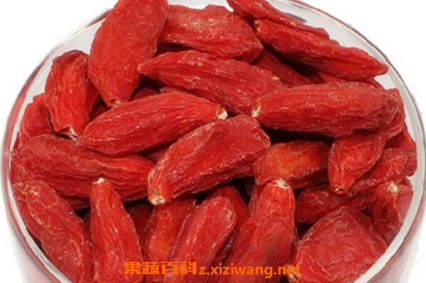 ������ӵ������빦Ч