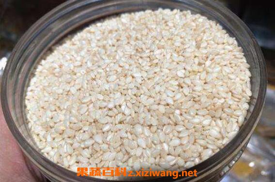 ��֥����ô�� ��֥����ô�����